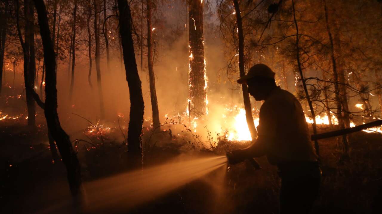 Muğla’da Orman Yangınlarının Acı Tablosu: 3 Yılda Yaklaşık 6 Bin Hektar Alan Kül Oldu 12
